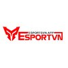 Avatar of Esport Việt Nam