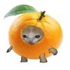 Avatar of orang cat