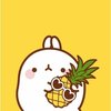 Avatar of Crisp Boy