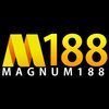 Avatar of magnum188