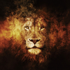 Avatar of Jon Marsee
