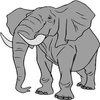 Avatar of planeta-elefante
