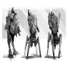 Avatar of Icedie_Guarani