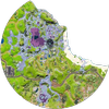 Avatar of FNSteijn2