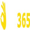 Avatar of ok365report