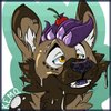 Avatar of Chocolate Dogg