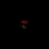 Avatar of Rosa Rose