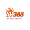 Avatar of sv388 netim