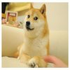 Avatar of benisfunny111