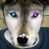 Avatar of AlphaWolfEnder7