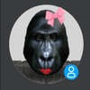 Avatar of MDRtheMonkey
