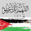 Avatar of abdelalim