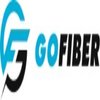Avatar of gofibervn1