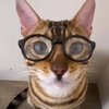Avatar of imflxpzs