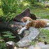 Avatar of sleepy