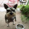 Avatar of Gustavo_lima