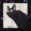 Avatar of Boni