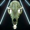 Avatar of Yeah_Corey
