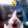 Avatar of _rats0up