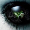 Avatar of Slendersakuno