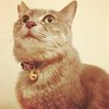 Avatar of nonreal_az