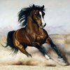 Avatar of gouribadiger1995