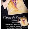 Avatar of PlumesdePacotilles