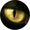 Avatar of Petr