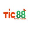 Avatar of TIC88
