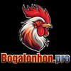 Avatar of bogatonhonpro