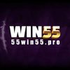Avatar of win55pro