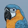 Avatar of Rosemary_Jousiffe