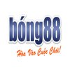 Avatar of Nhà Cái W88