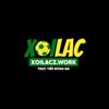 Avatar of xoilacz work