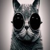 Avatar of manishmilando111