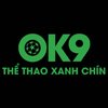 Avatar of OK9 tours