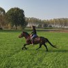 Avatar of chiara.beretta