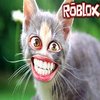 Avatar of ryd2831