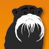 Avatar of Beardmonkey