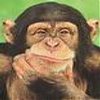 Avatar of MrResourceful23