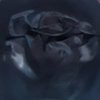 Avatar of Warm.Pokinpak