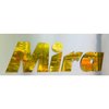 Avatar of Mira