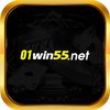 Avatar of 01win55net