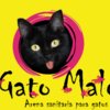 Avatar of Gato Malo
