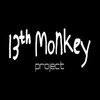 Avatar of 13thmonkey