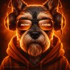 Avatar of HOMELANDAI