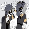 Avatar of ashekolls6