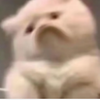 Avatar of nini