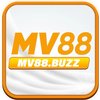 Avatar of mv88buzz