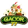 Avatar of Gacor77 Slot